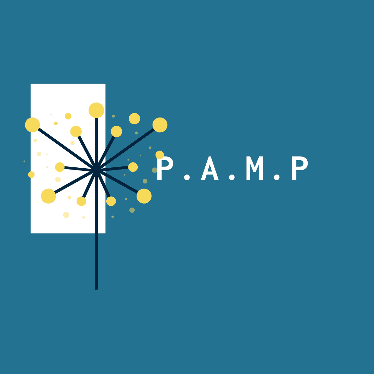 FM & Public Sector Job Vacancies | PAMP Recruitment | Nat…